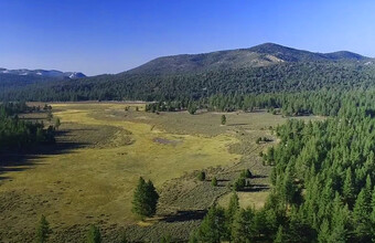 34300 Holcomb Valley Rd, Fawnskin, CA - VUE AÉRIENNE  vue de carte - Image1