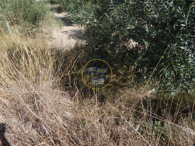 Terrain dans Ontinyent, Valencia à vendre - Photo principale – Image 2 sur 22