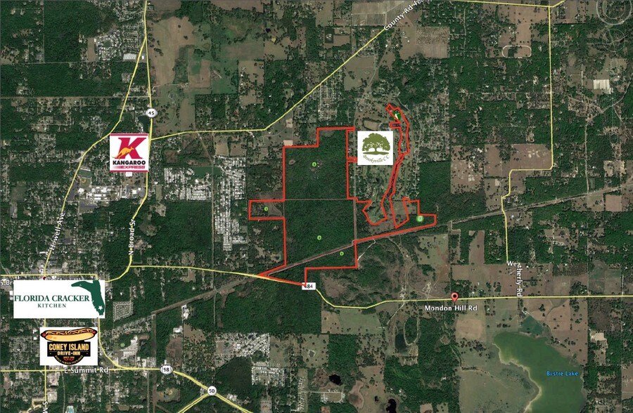 23196 MONDON HILL Rd, Brooksville, FL à vendre - Autre – Image 2 sur 3