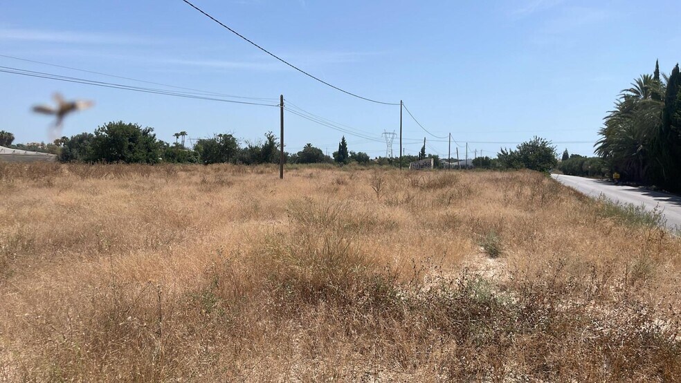 Maitino, Elche Pedanias, 1028, Alicante, Alicante à vendre - Photo principale – Image 1 sur 10