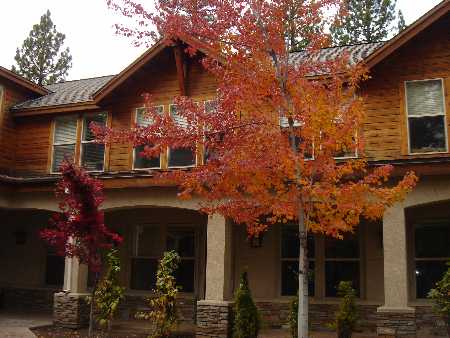 937 Tahoe Blvd, Incline Village, NV à louer - Photo de l’immeuble – Image 3 sur 11