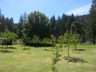 60104 Gordons Ferry Rd, Happy Camp, CA à vendre - Photo de l’immeuble – Image 2 sur 9