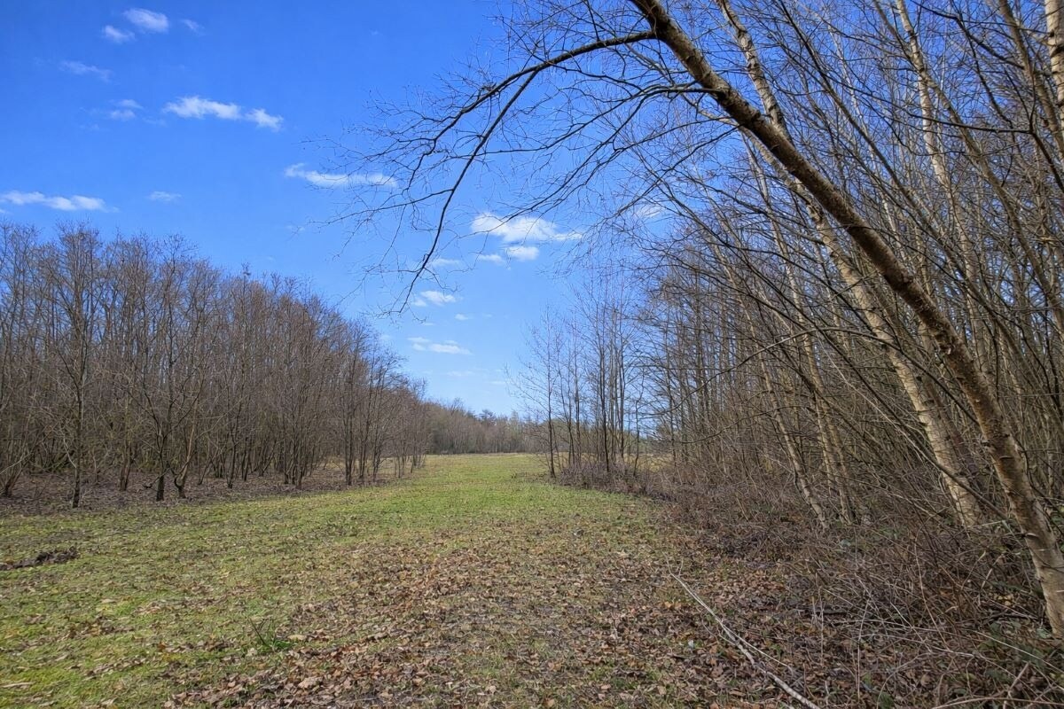 Land Opposite, 250 Holtye Rd, East Grinstead à vendre Photo principale– Image 1 sur 10