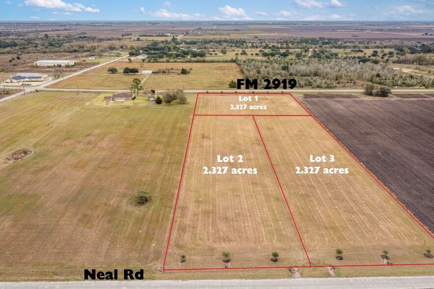 Lot 1 Farm to Market Road 2919, Beasley, TX à vendre - Aérien – Image 2 sur 25