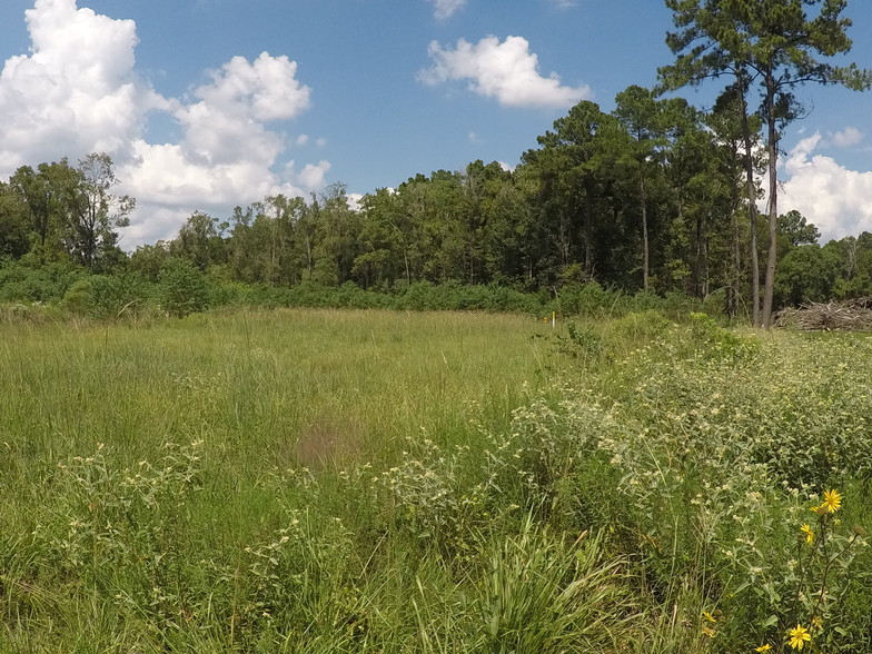 7886 Fm 1960 Rd, Dayton, TX à vendre - Autre – Image 3 sur 9
