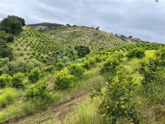 0 Avenida Tierra, Temecula, CA à vendre - Photo de l’immeuble – Image 3 sur 6