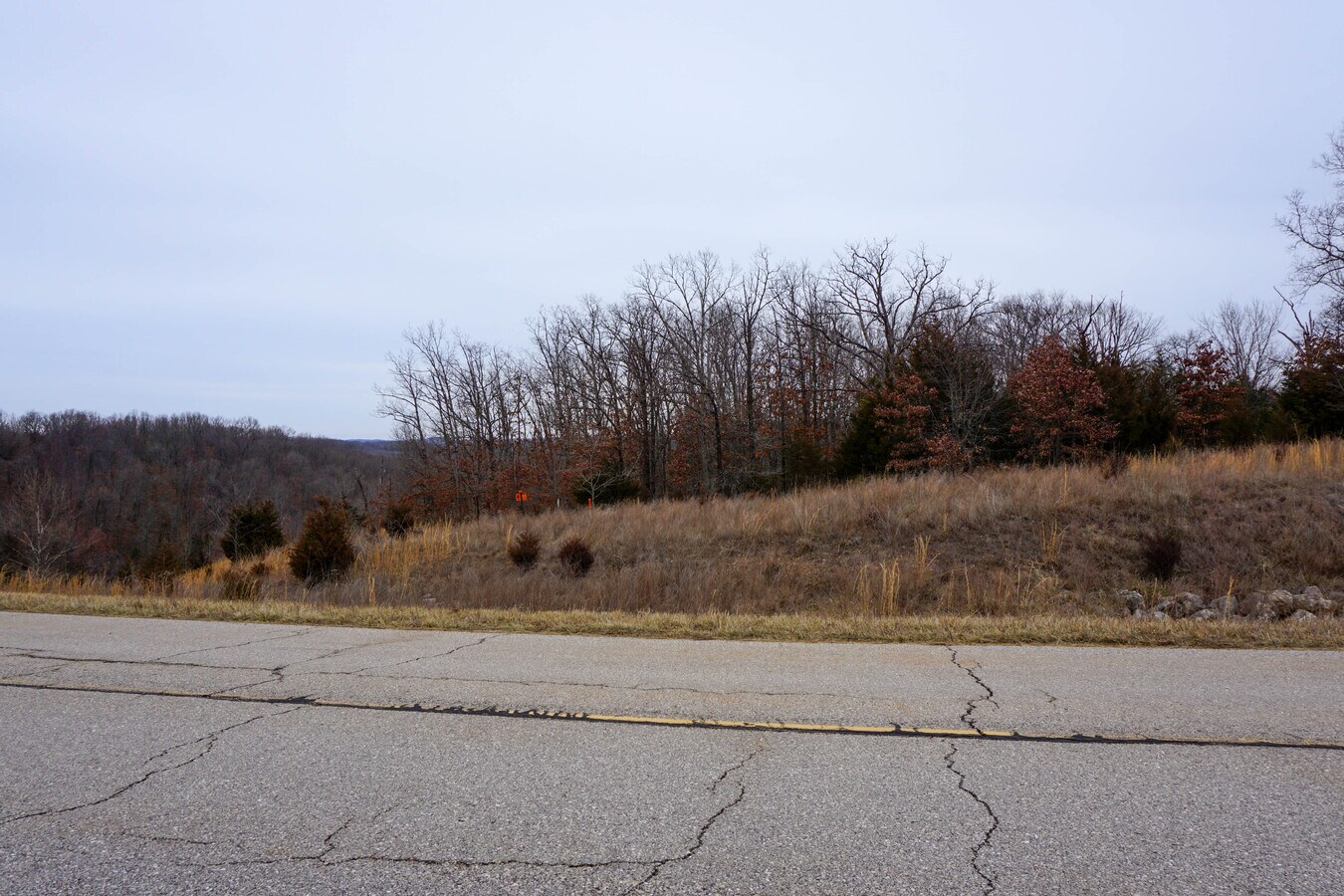 View Photo