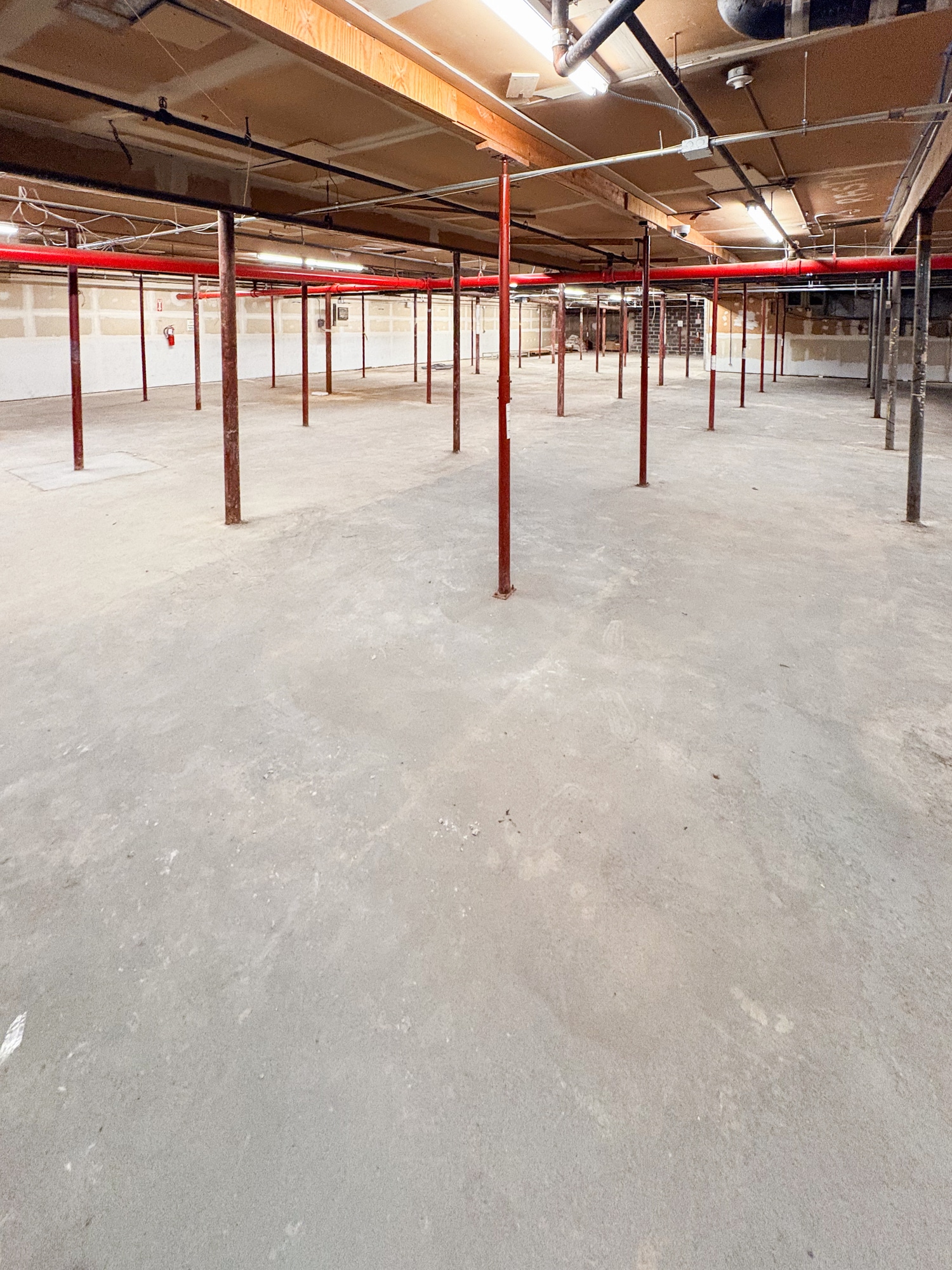 3831 Nostrand Ave, Brooklyn, NY à louer Photo intérieure– Image 1 sur 6