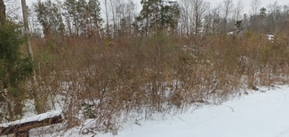 Plus de détails pour 432 Deaton-Young Road Rd, Lexington, NC - Terrain à vendre