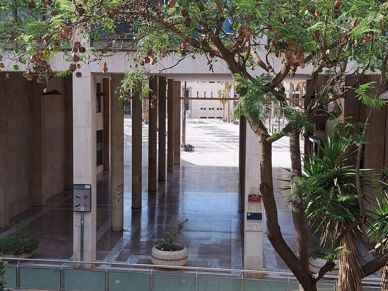 Local commercial dans El Ejido, Almería à louer - Photo principale – Image 2 sur 38