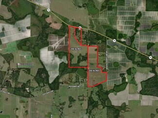 Plus de détails pour State 70 hwy, Myakka City, FL - Terrain à vendre