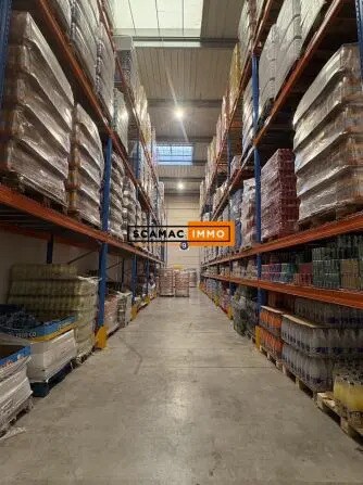 Plus de détails pour Bureau, Industriel/Logistique à louer