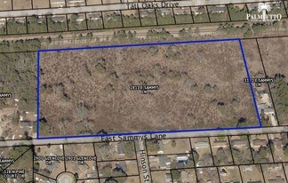 Plus de détails pour 2811 E Sammys Ln, Florence, SC - Terrain à vendre