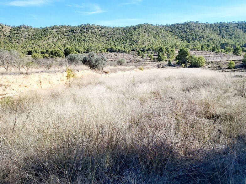 Terrain dans La Romana, Alicante à vendre - Aérien – Image 3 sur 3