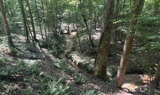 Plus de détails pour Old Calhoun Falls Rd, Abbeville, SC - Terrain à vendre