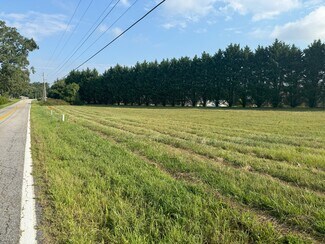 Plus de détails pour 2695 Powdersville Rd, Easley, SC - Terrain à louer