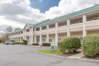 Plus de détails pour 243 Bridge St, Metuchen, NJ - Bureau/Médical à louer