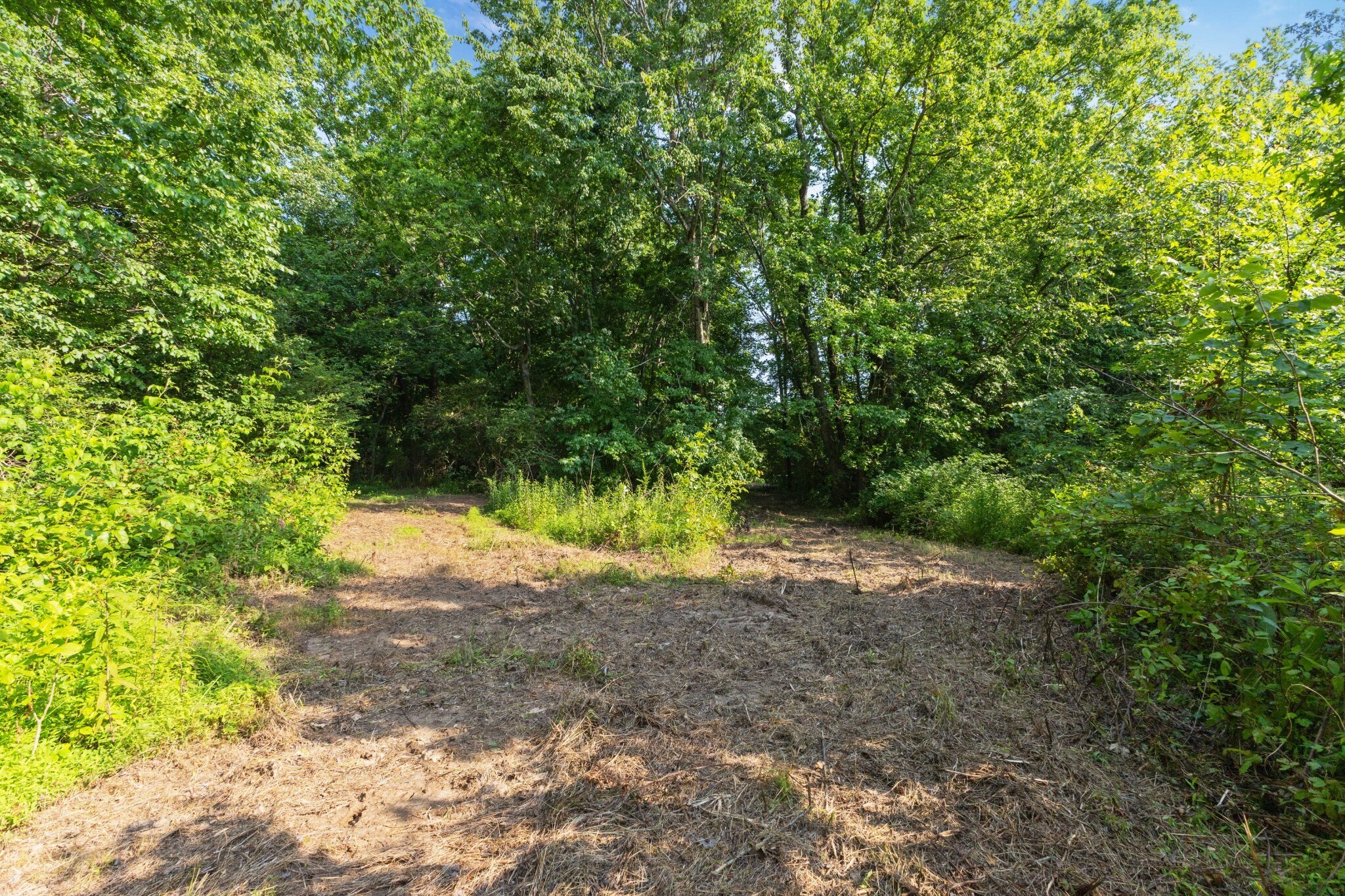 0 Hwy 41, Joelton, TN à vendre Photo de l’immeuble– Image 1 sur 12