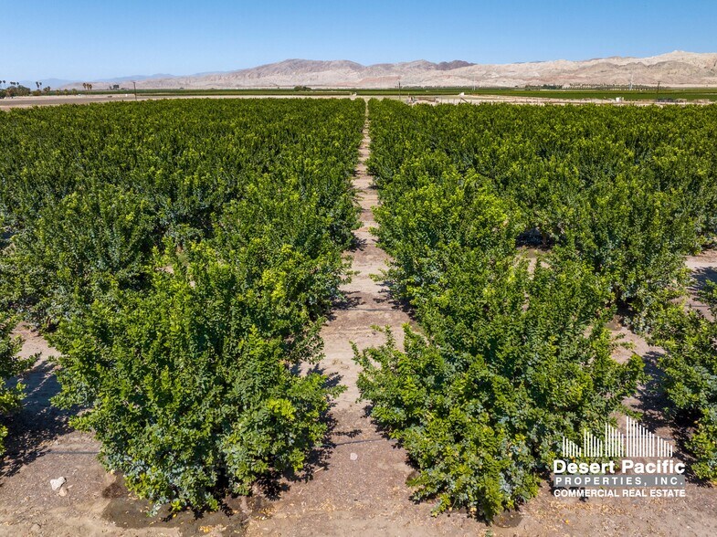 Wheeler St, Mecca, CA à vendre - Photo de l’immeuble – Image 3 sur 9