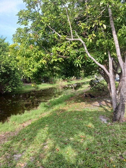 View Photo