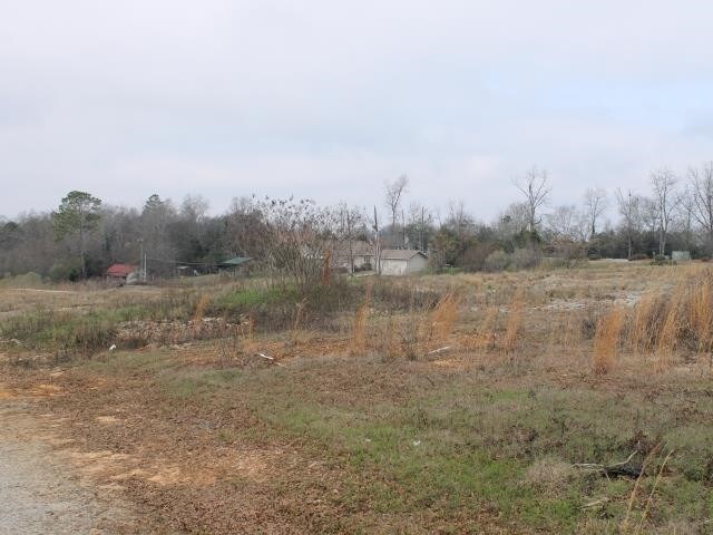 720 E Forsyth St, Americus, GA à louer - Photo de l’immeuble – Image 3 sur 21