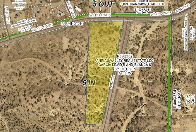 Wildflower Pky, Farmington, NM à vendre Plan de site– Image 1 sur 2