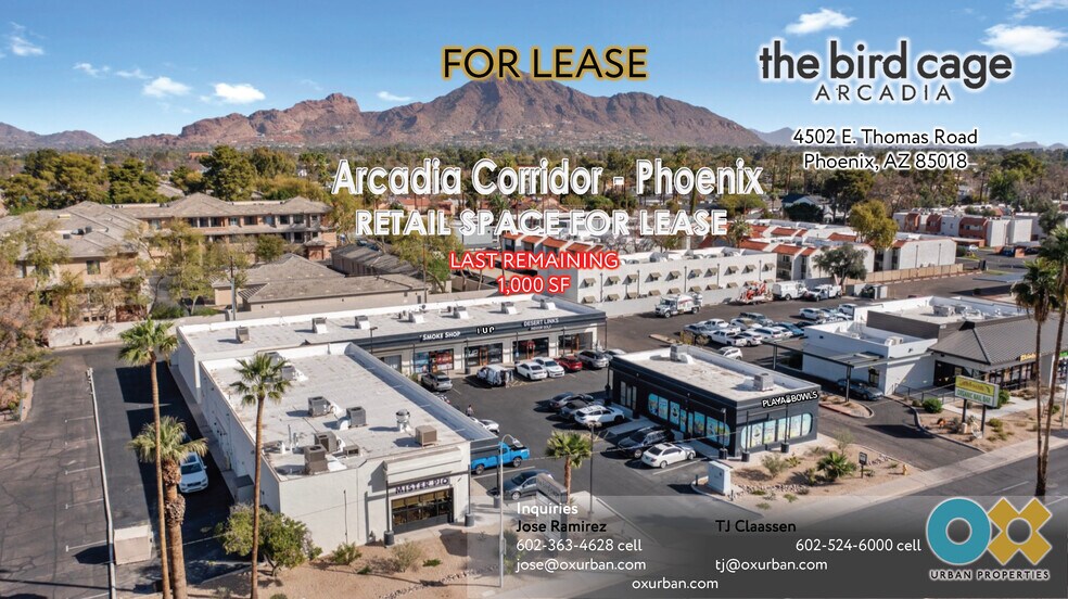 4502-4528 E Thomas Rd, Phoenix, AZ à louer - Photo de l’immeuble – Image 2 sur 15