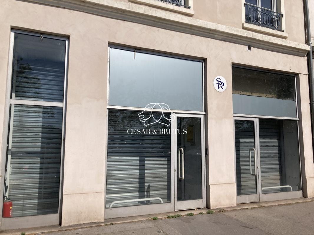 35 Quai Docteur Gailleton, Lyon à louer Photo de l’immeuble– Image 1 sur 6