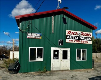 Plus de détails pour 11205 Ridge Rd, Medina, NY - Industriel/Logistique à vendre