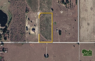 Plus de détails pour 23000 Robbins Ridge ct, Howey in the Hills, FL - Terrain à vendre