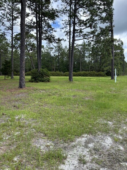 14034 U.S. 331 Business, Freeport, FL à vendre - Photo de l’immeuble – Image 3 sur 13