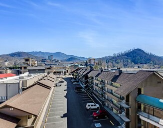 Plus de détails pour 929 Parkway, Gatlinburg, TN - Hôtellerie à vendre