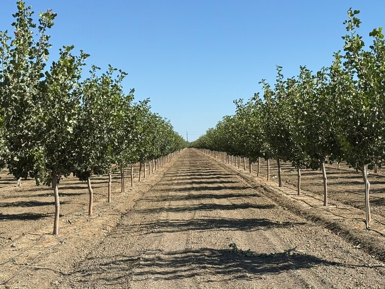 W Cole ave, Coalinga, CA à vendre - Photo principale – Image 1 sur 9
