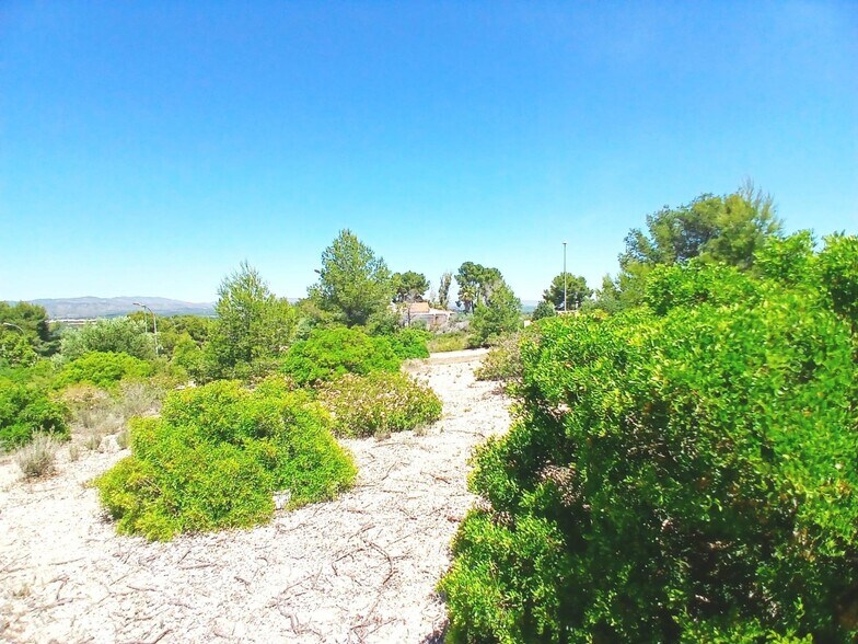 Terrain dans Alberic, Valencia à vendre - Photo de l’immeuble – Image 2 sur 7