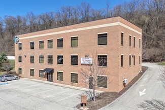 Plus de détails pour 491 E Bruceton Rd, Pleasant Hills, PA - Bureau à vendre