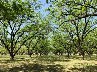 Plus de détails pour 12633 Gholson Rd, Waco, TX - Spécialisé à vendre