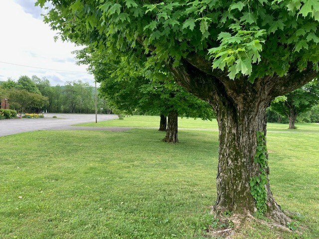 9450 Dayton Pike, Soddy Daisy, TN à vendre - Photo de l’immeuble – Image 2 sur 9
