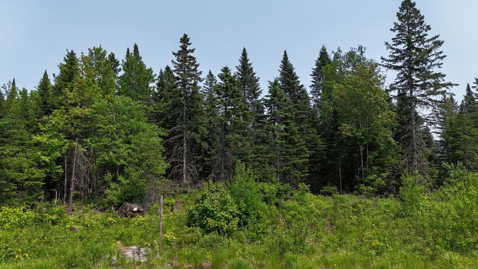 Photo principale
