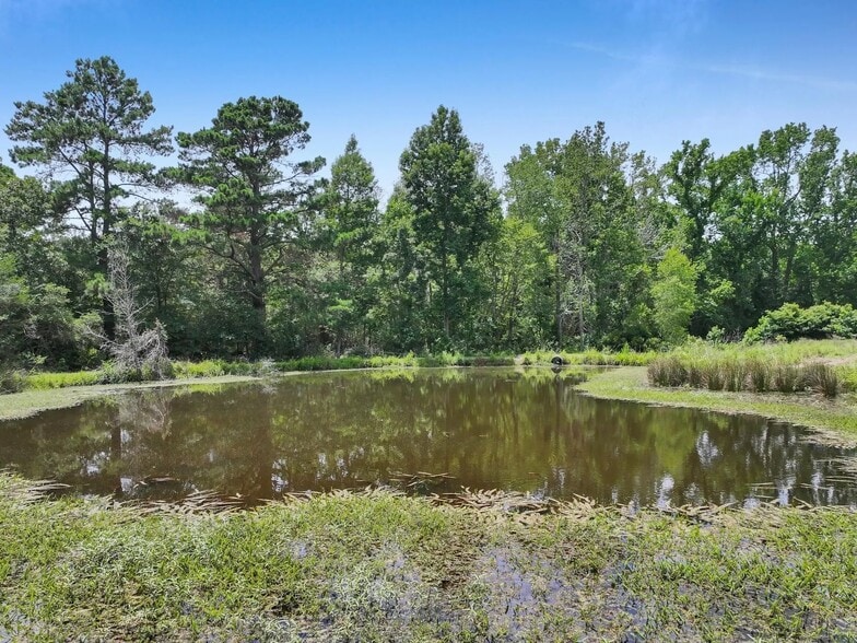 8323 County Road 292, Buffalo, TX à vendre - Autre – Image 3 sur 63