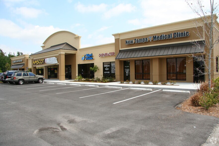 17501 Preserve Walk Ln, Tampa, FL à louer - Photo de l’immeuble – Image 2 sur 12
