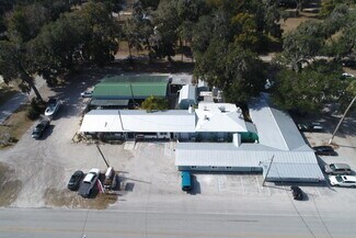 Plus de détails pour 765 3rd Ave, Welaka, FL - Local commercial à vendre
