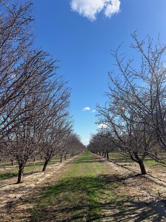 Plus de détails pour 1 33rd Ave, Avenal, CA - Terrain à vendre