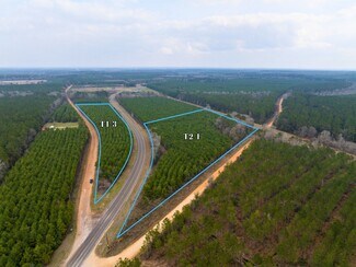 Plus de détails pour 1 FM 943, Livingston, TX - Terrain à vendre