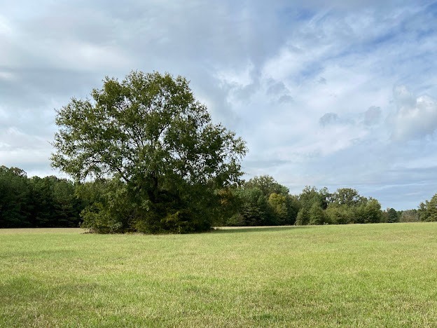 0 Hwy 41S, Foreman, AR à vendre - Autre – Image 2 sur 13