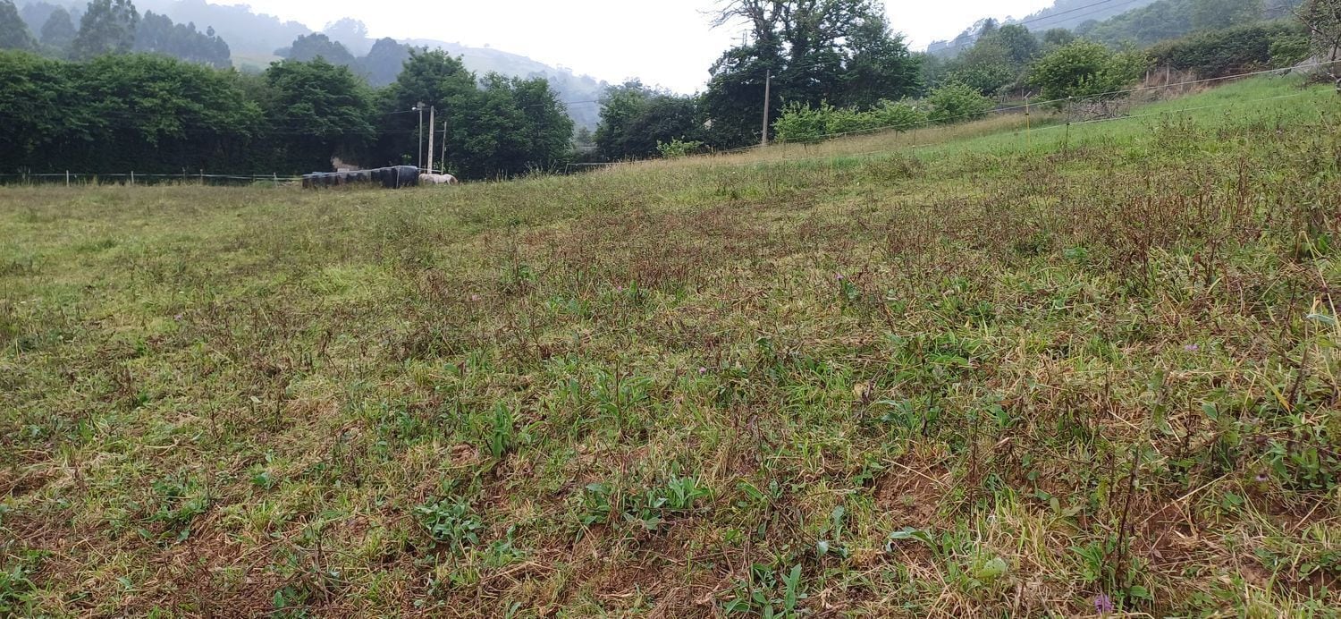 Pomarada Barrero. Illas, S/N, Illas, Asturias à vendre Photo de l’immeuble– Image 1 sur 14