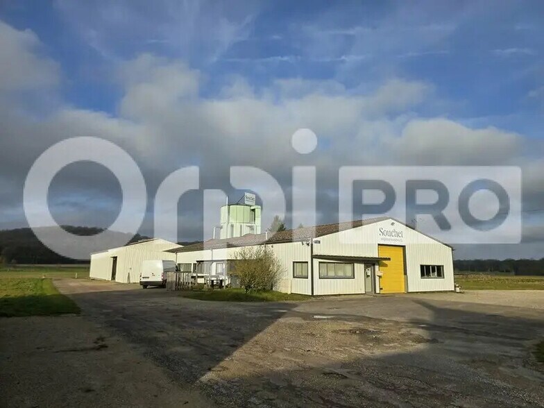 Local d'activités dans Liffol-le-Petit à vendre - Photo de l’immeuble – Image 2 sur 4