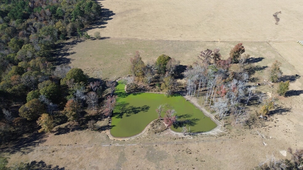 269 Pea Ridge Rd, Montrose, GA à vendre - Aérien – Image 2 sur 22