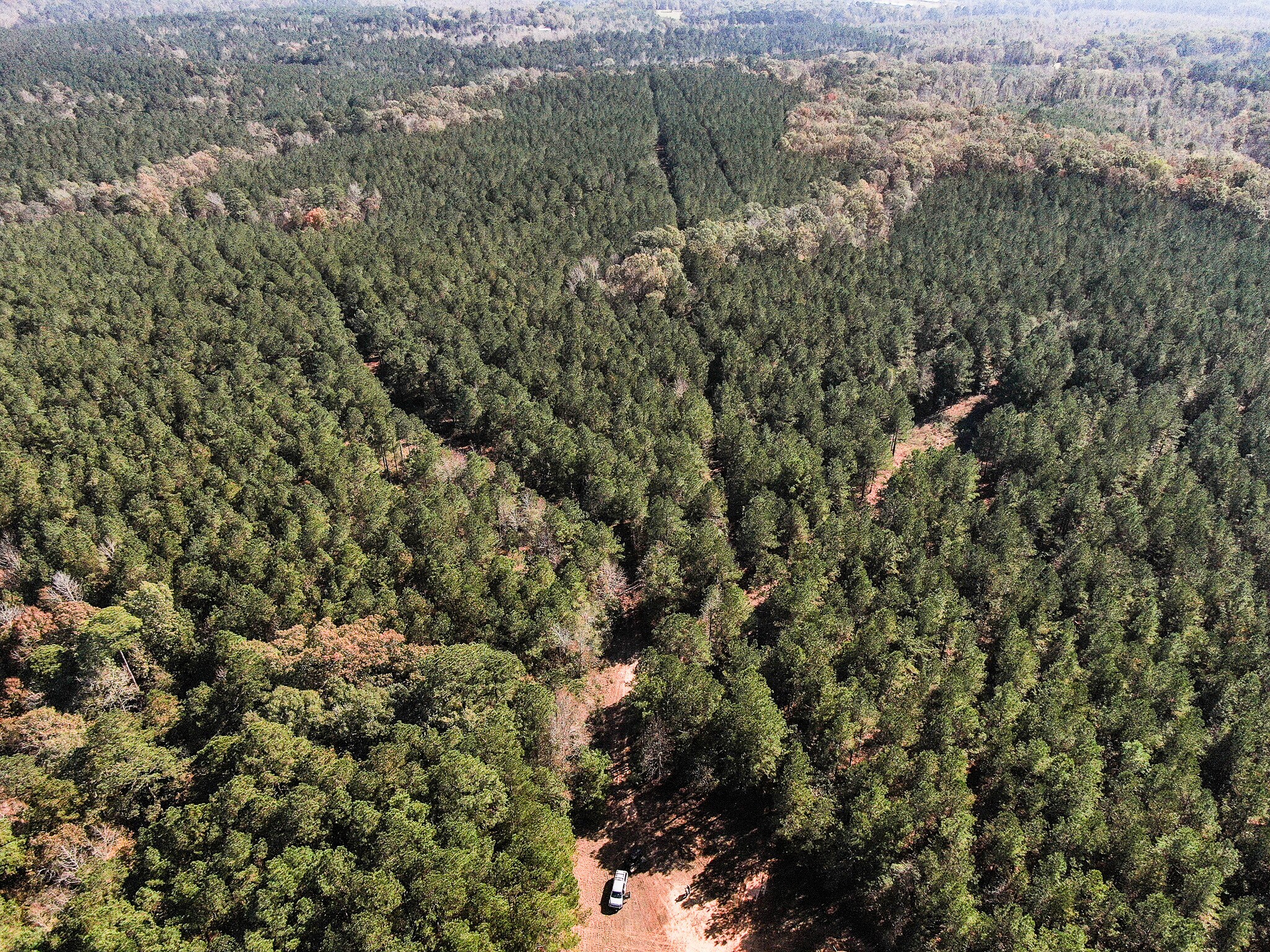 Airline Rd., Dubach, LA à vendre Photo de l’immeuble– Image 1 sur 12