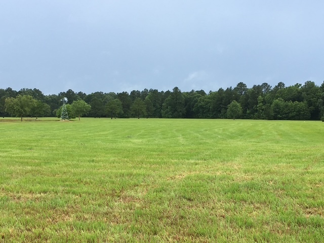 Highway 10 & FM 1136, Orange, TX à vendre - Autre – Image 3 sur 11