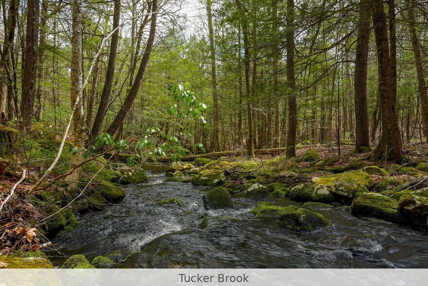 291 Fomer Road, Southampton, MA à vendre - Photo de l’immeuble – Image 2 sur 16